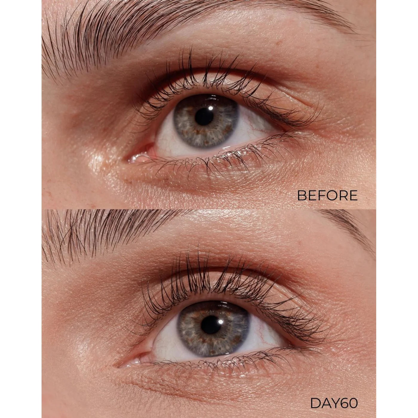 Iron Lash & Brow 5in1 ❤️✨