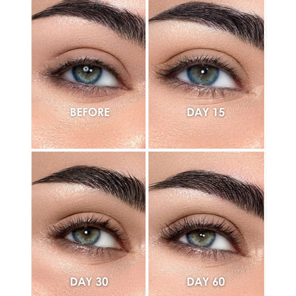 Iron Lash & Brow 5in1 ❤️✨